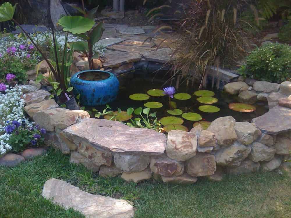 Pond Clean Outs image