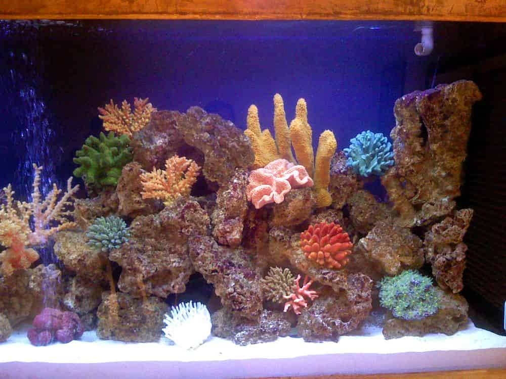 Aquarium Service image