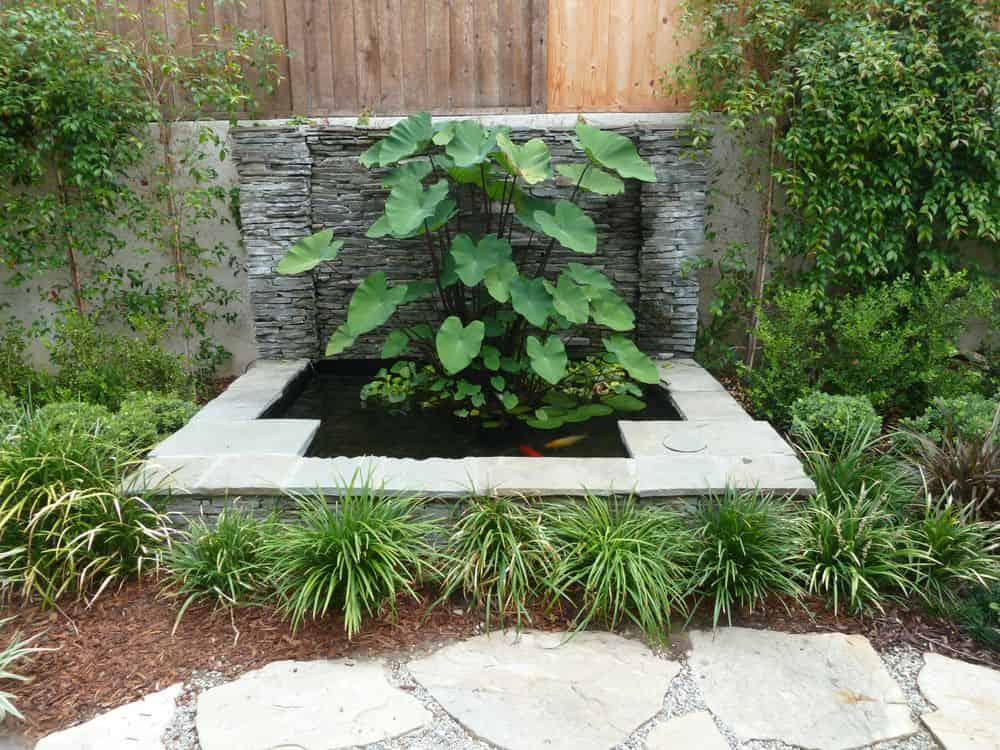 Pond Clean Outs image