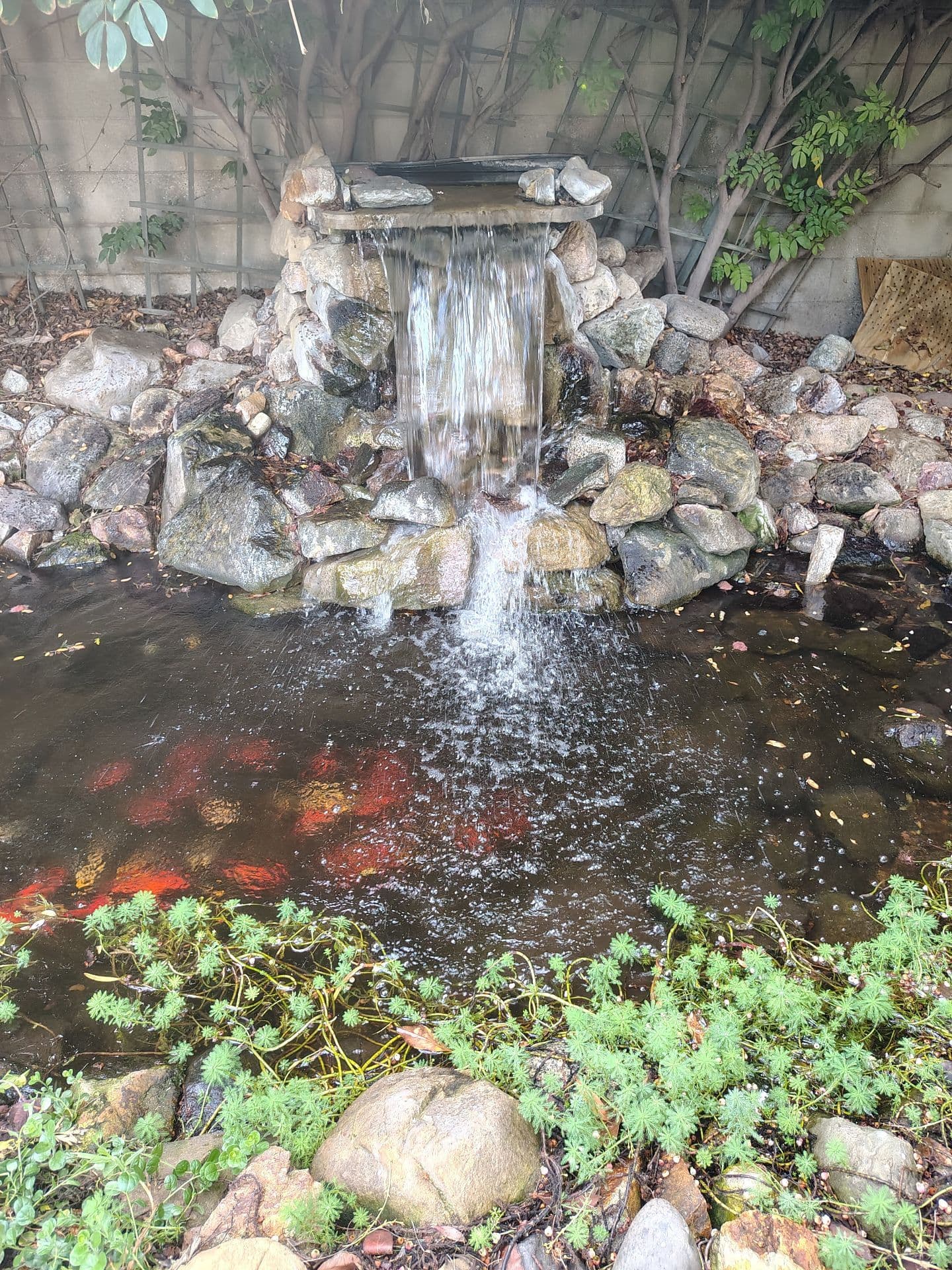 Project Quick Pond Leak Repair in Northridge image