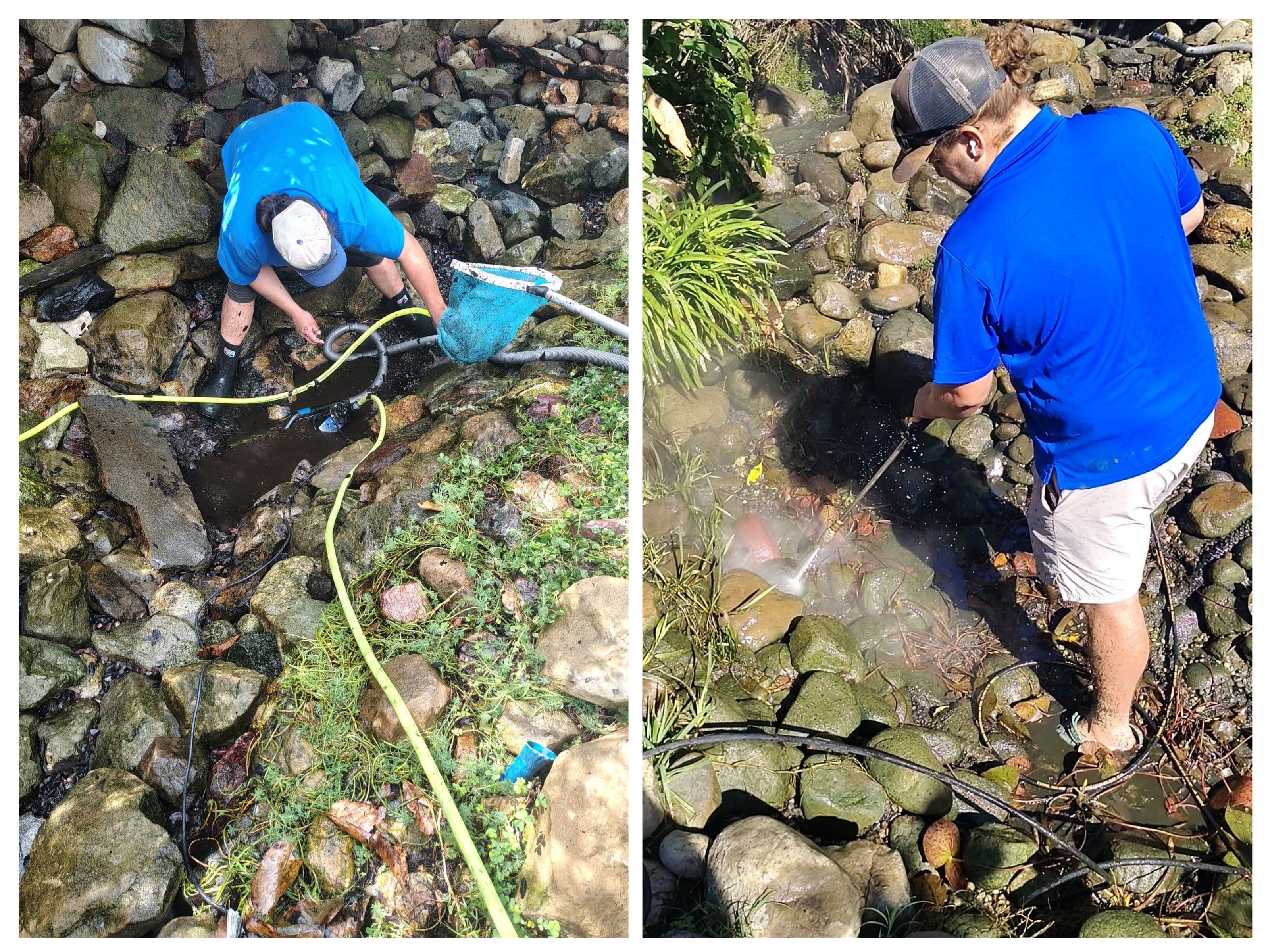 Why Choose Pacific Pond and Aquarium