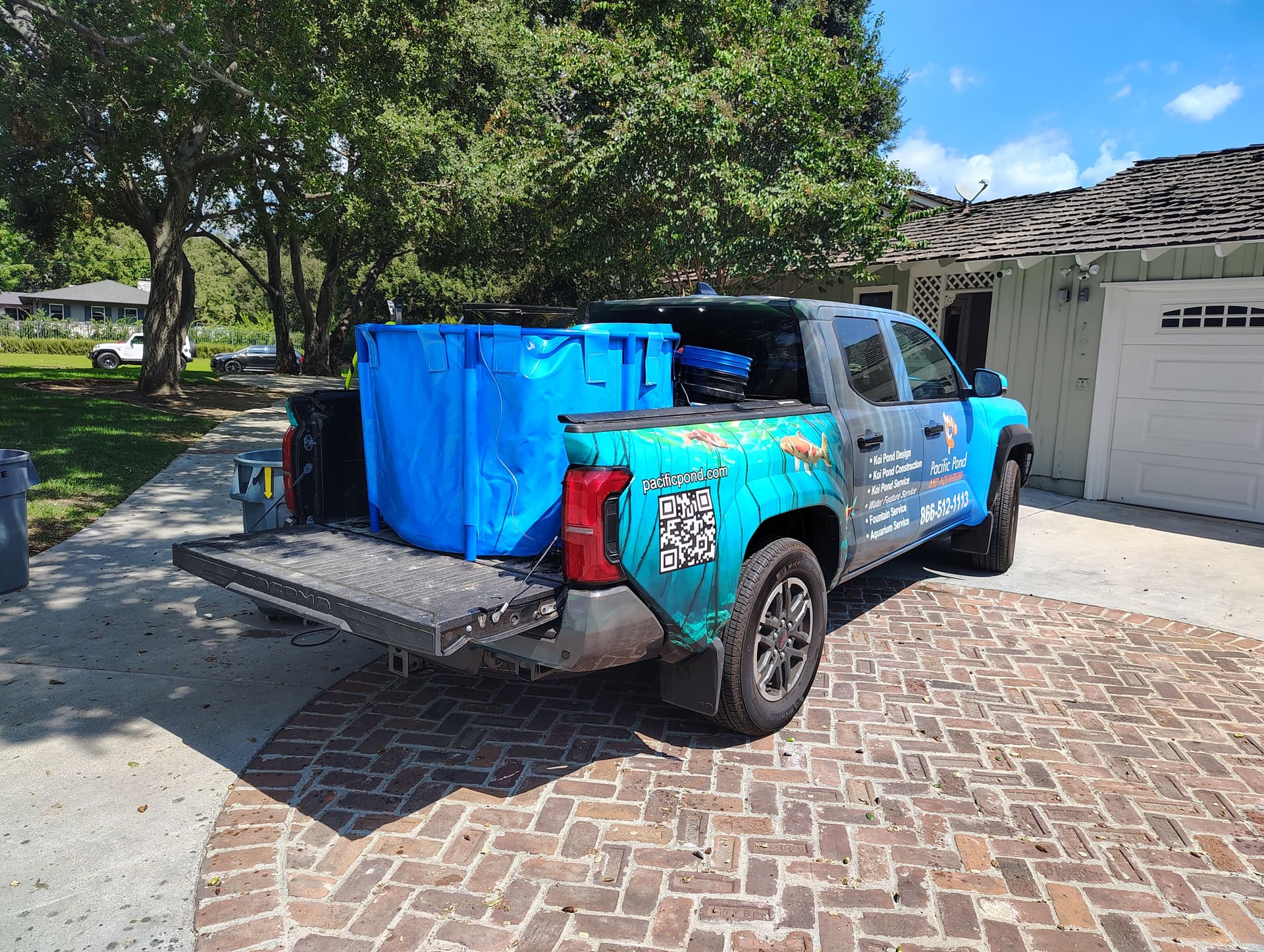 Gallery photos for Successful Koi Rescue and Relocation at Pacific Pond and Aquarium: Image #2