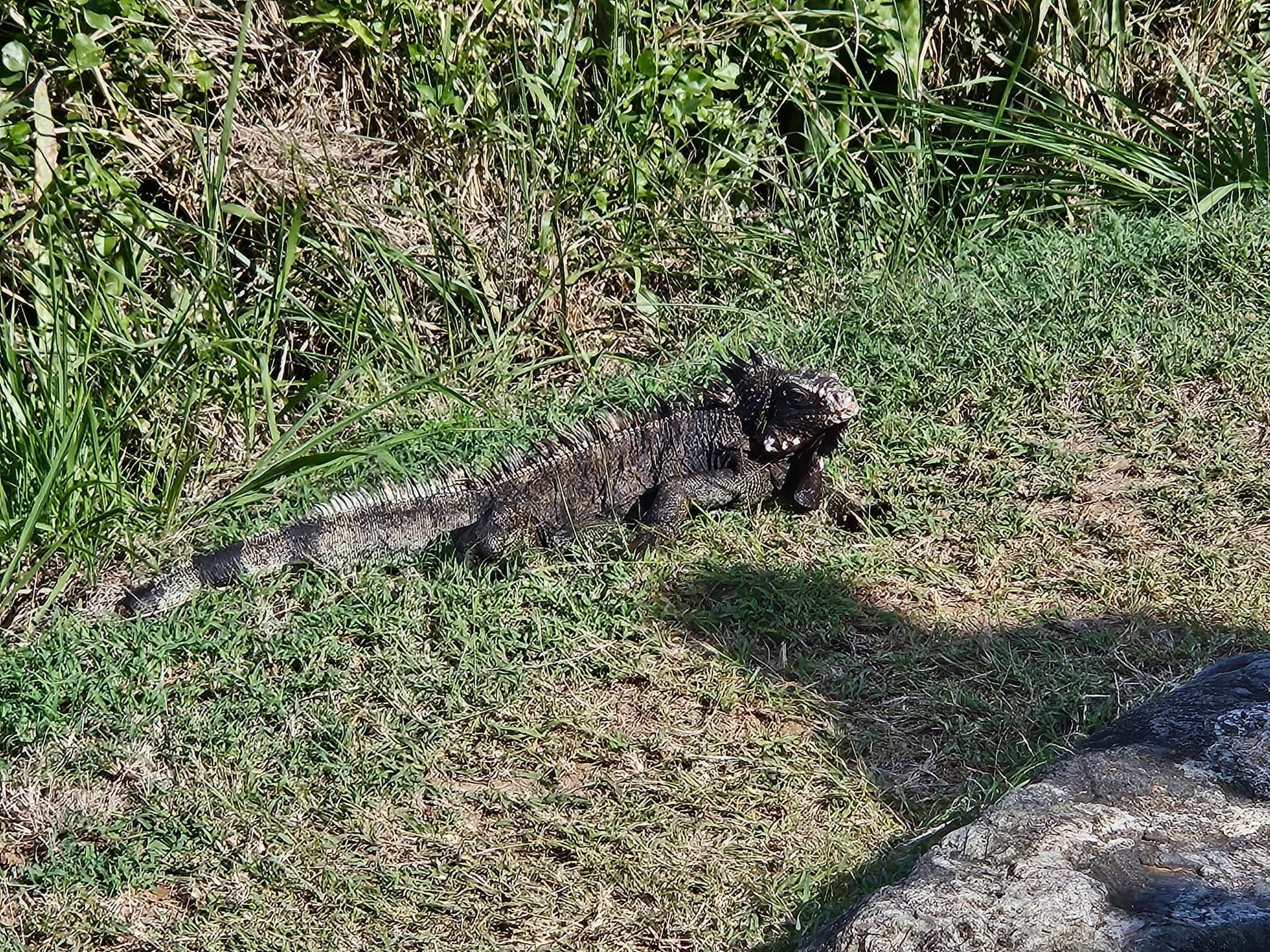 Gallery photos for Fountain Fantasies in St. Thomas US Virgin Islands: Image #3