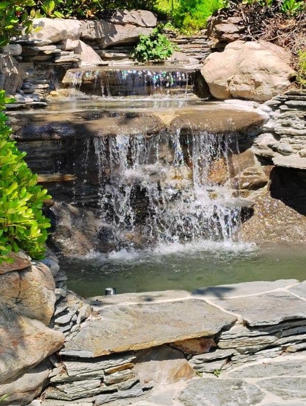 Project Waterfall Restoration at Pacific Pond image