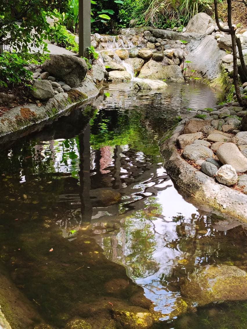 Project Pasadena Garden Revitalized with New 3 HP Pump Installation image