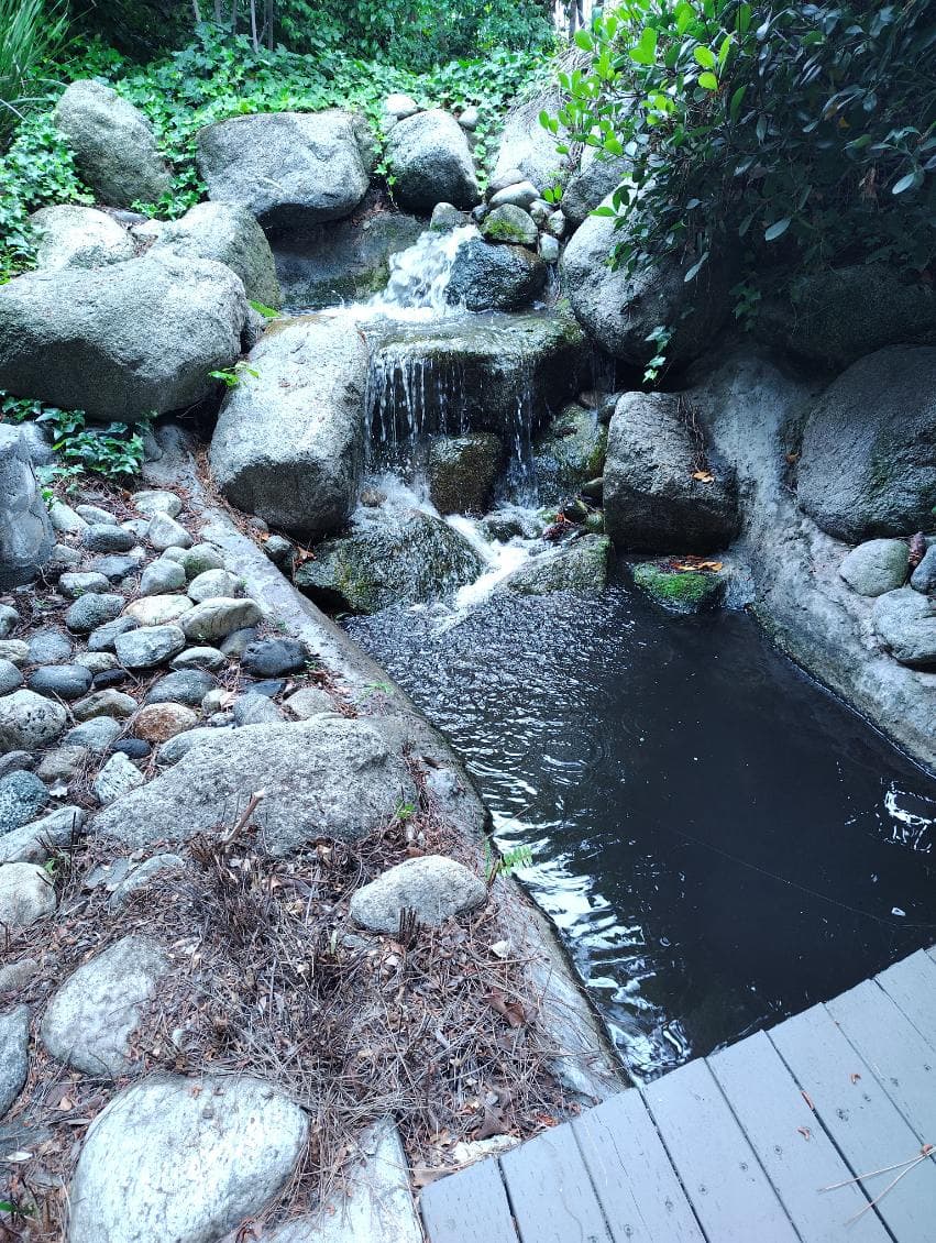 Gallery photos for Pasadena Garden Revitalized with New 3 HP Pump Installation: Image #1