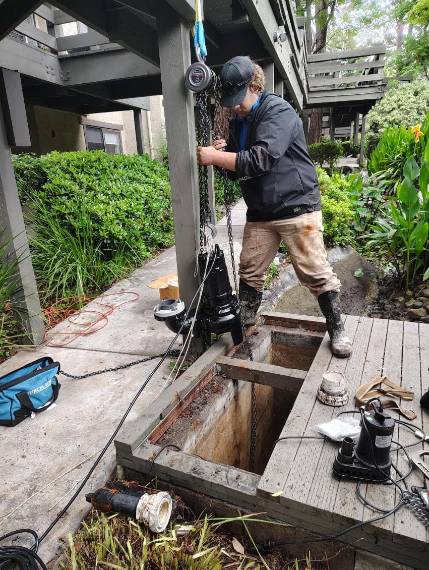 Gallery photos for Pasadena Garden Revitalized with New 3 HP Pump Installation: Image #3