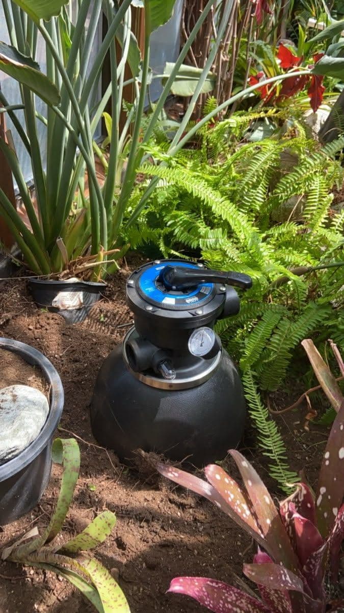 Hollywood Koi Pond Upgrade with Waterfall