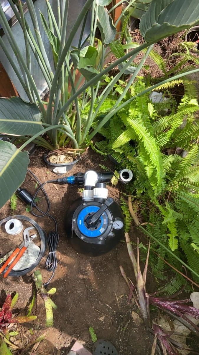 Hollywood Koi Pond Upgrade with Waterfall