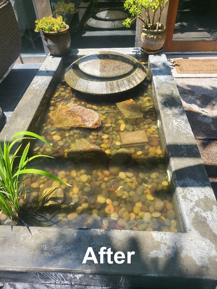 Project Revitalize Your Garden Oasis with a Fountain Refresh image