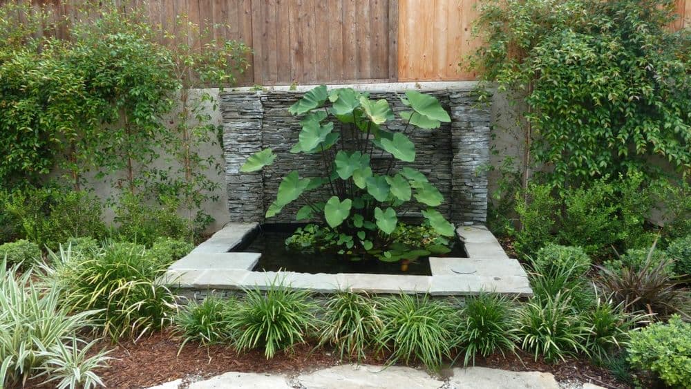 Serene garden pond with stone features and lush greenery, featuring large lotus leaves.