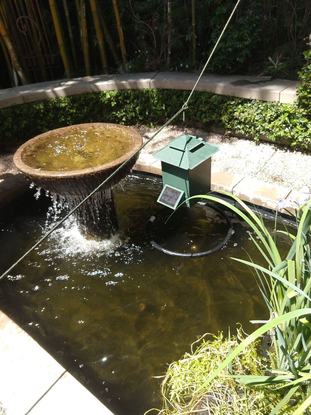 Garden pond with a decorative fountain and an attached water quality monitor.