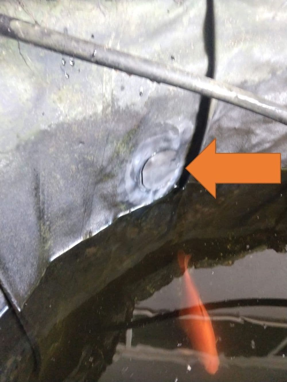 Repair seal on pond liner with koi fish visible in the water below.
