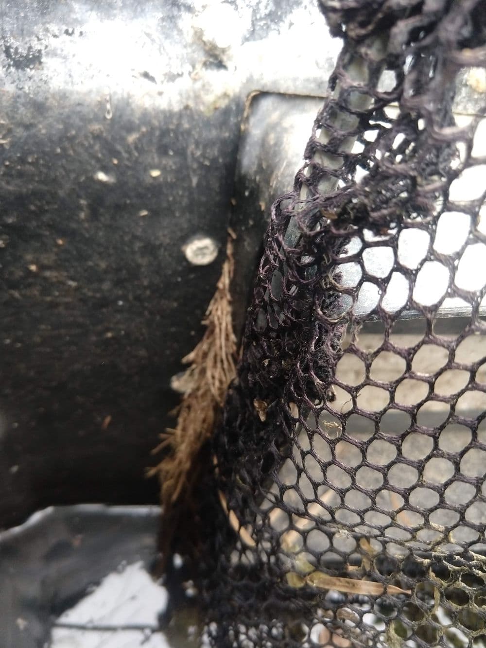 Close-up of a wet black mesh netting with dirt and debris attached, showing intriguing textures.