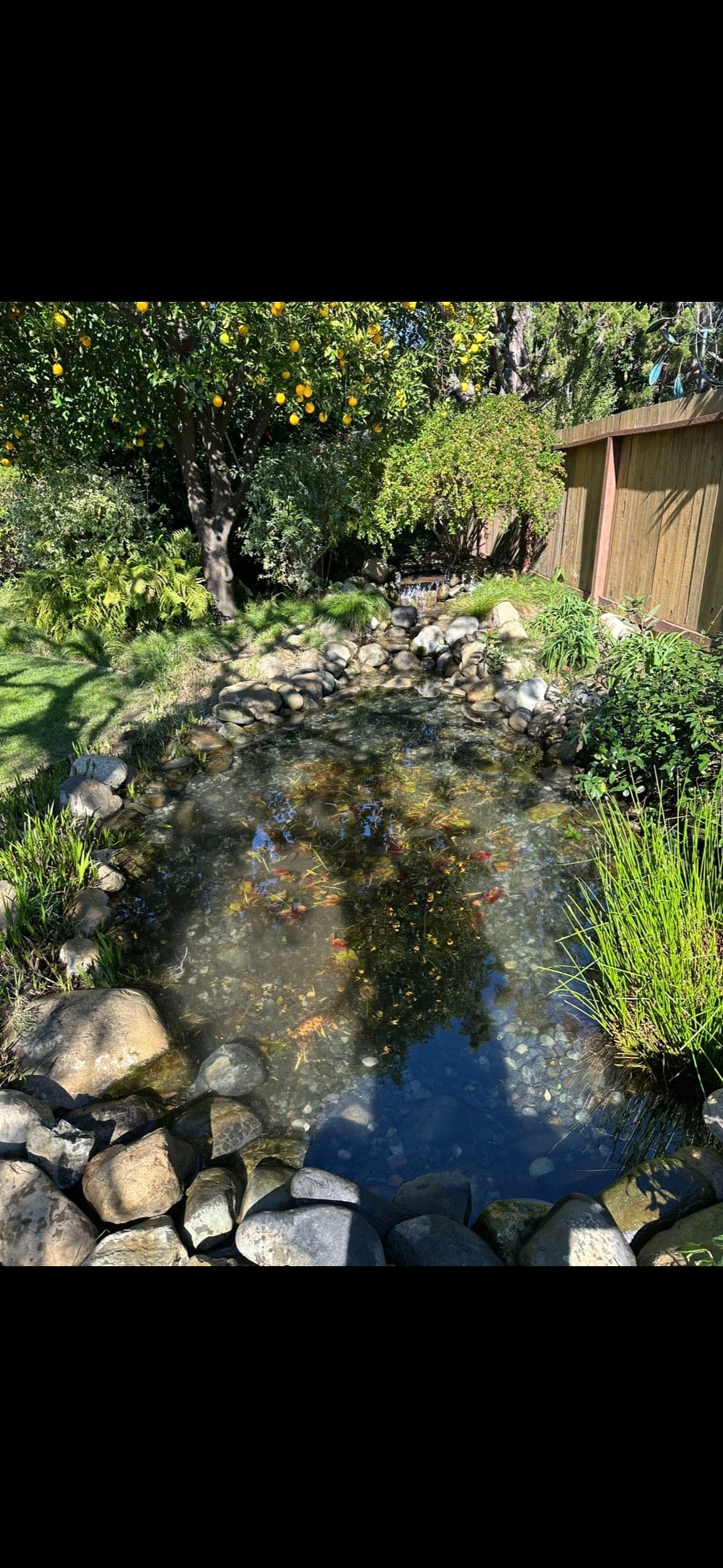Gallery photos for Pond Restoration Magic in Your Backyard: Image #2