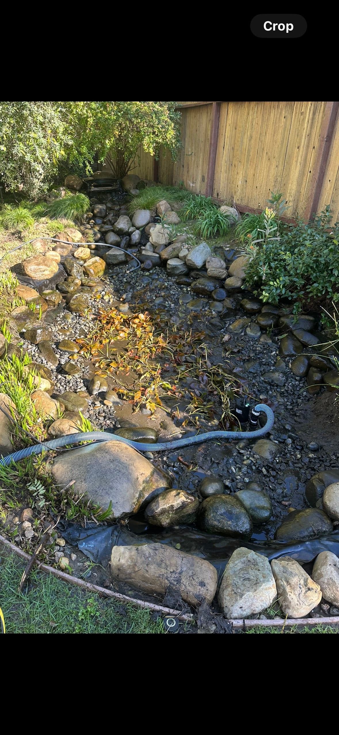 Gallery photos for Pond Restoration Magic in Your Backyard: Image #1
