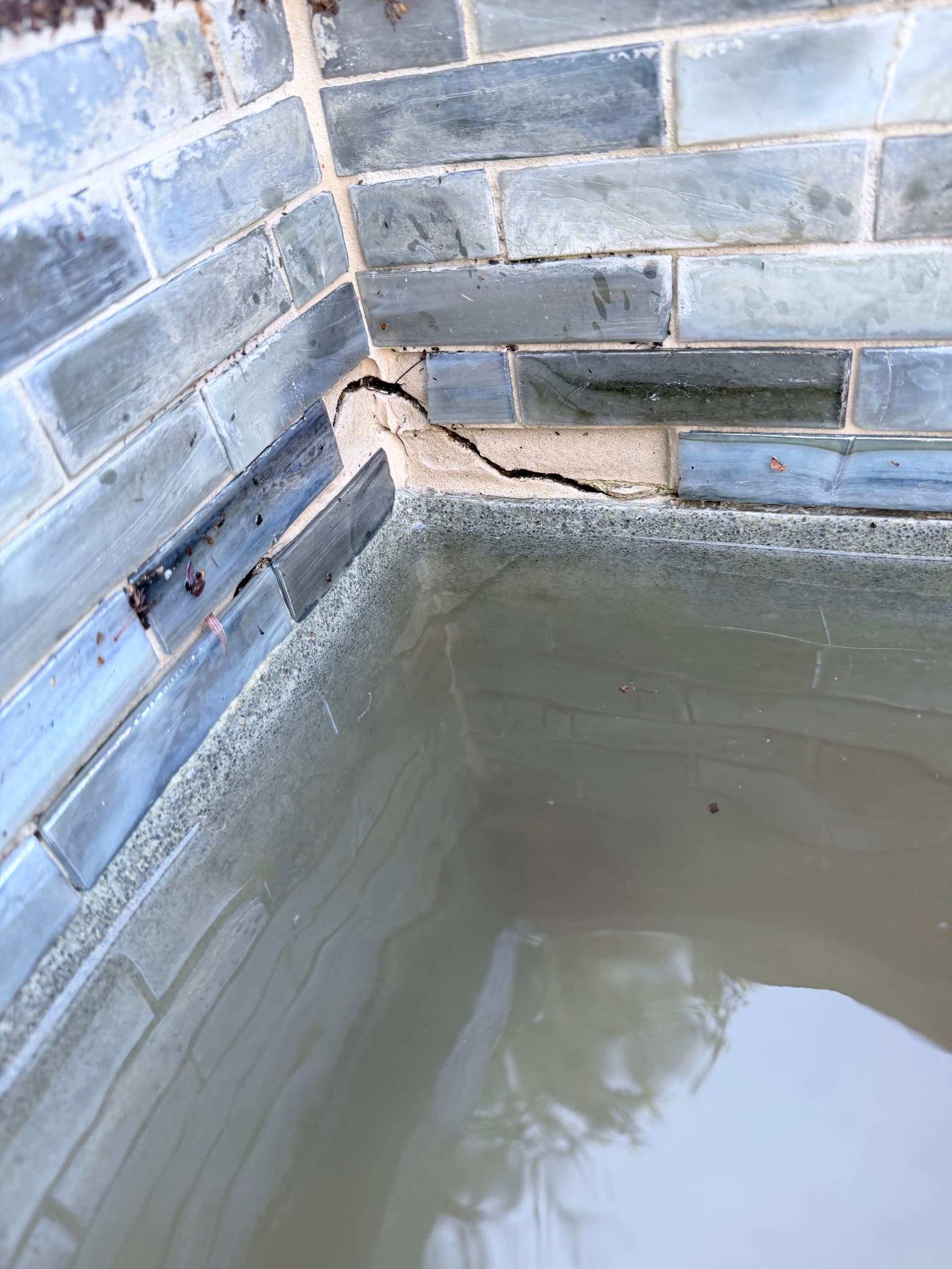 Gallery photos for Pond Overhaul Brings New Life to Your Outdoor Space: Image #2