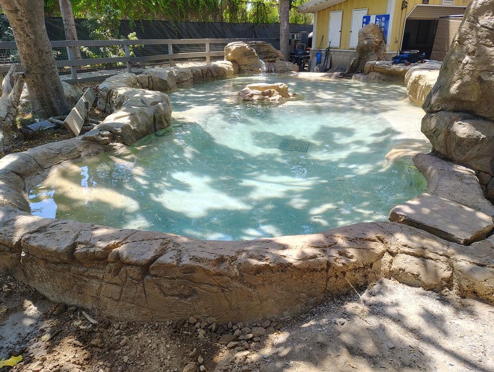 Natural stone pool surrounded by trees, featuring a rock formation in the water.
