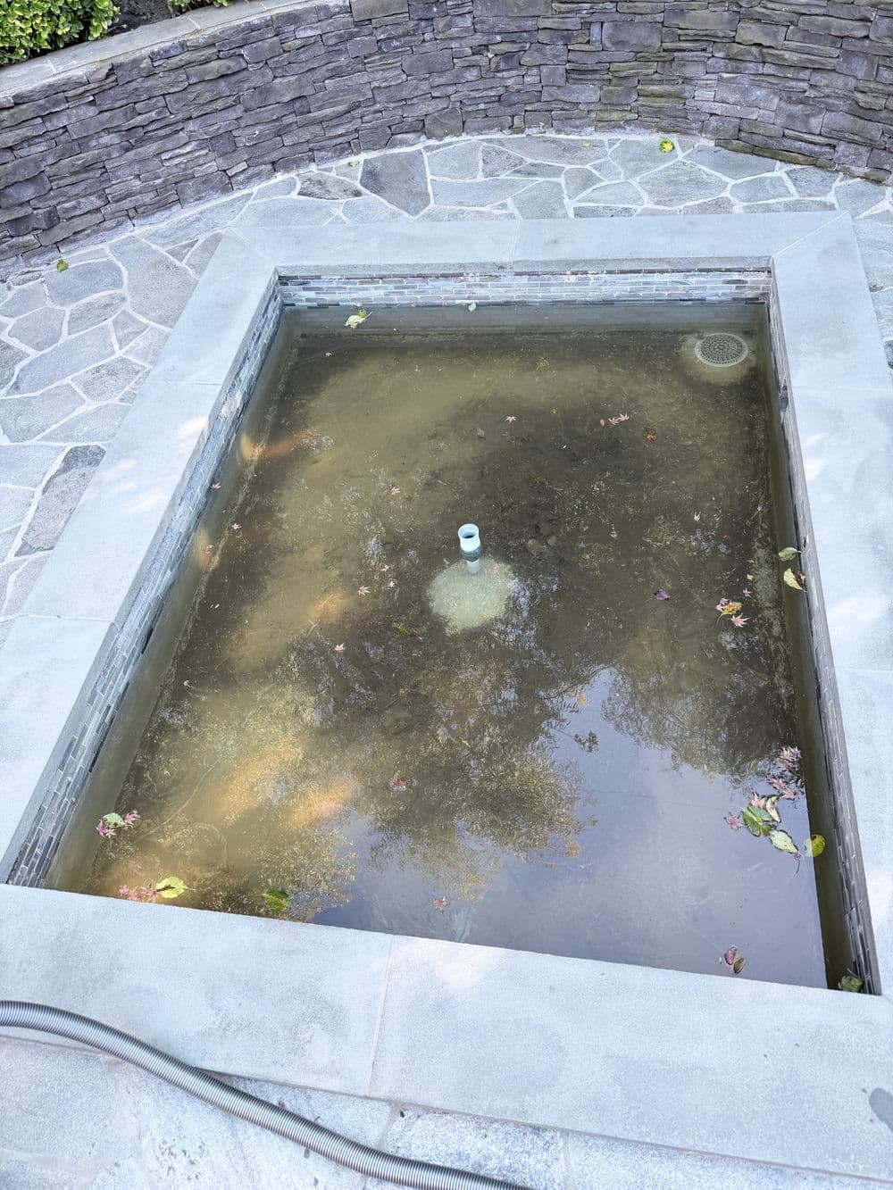 Stagnant water in a stone-lined pool, surrounded by a stone patio with scattered leaves.