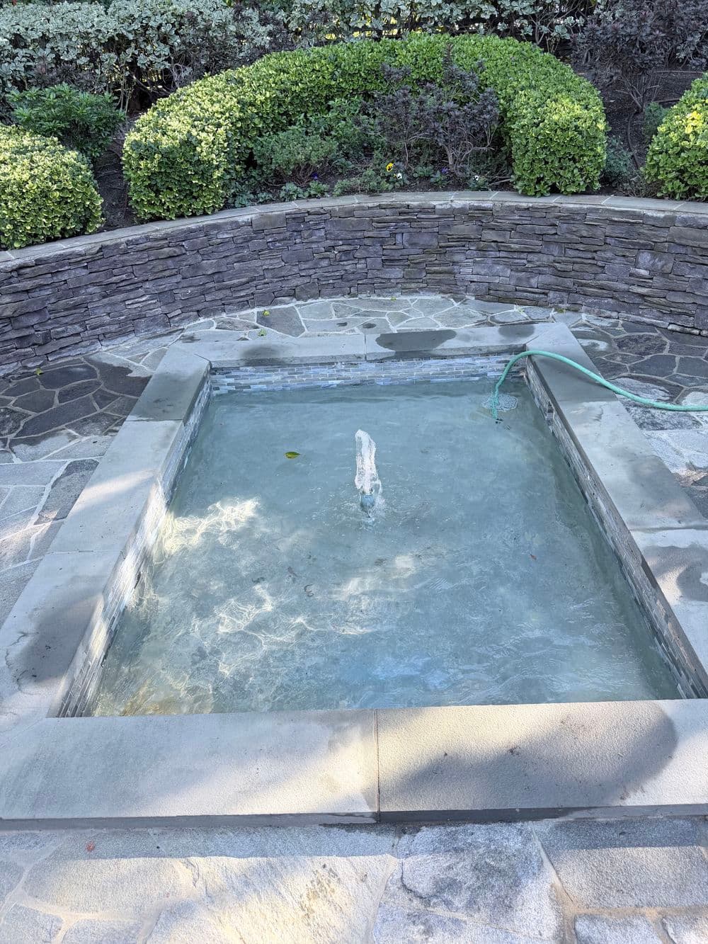 Garden fountain with clear water surrounded by stone walls and trimmed greenery.