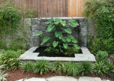 Serene garden pond with stone features and lush greenery, featuring large lotus leaves.