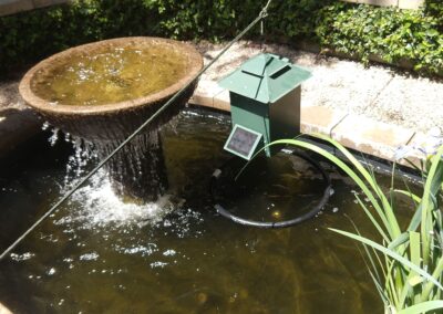 Garden pond with a decorative fountain and an attached water quality monitor.