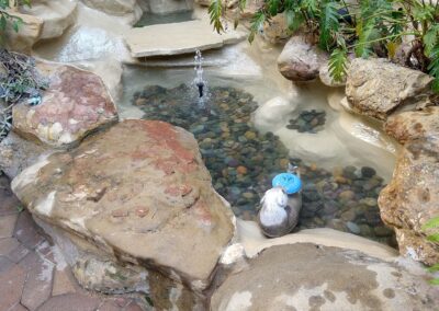 Tranquil garden pond with rocks, water feature, and greenery in a serene outdoor setting.