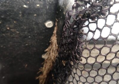 Close-up of a wet black mesh netting with dirt and debris attached, showing intriguing textures.