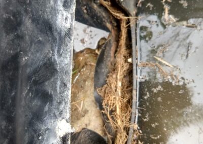 Visible damage in a black plastic container with roots and debris, showing signs of wear.