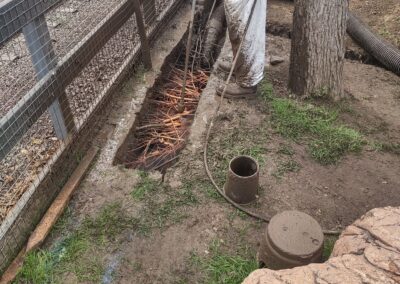 Worker in safety gear clearing a trench with exposed roots in a landscaped area.