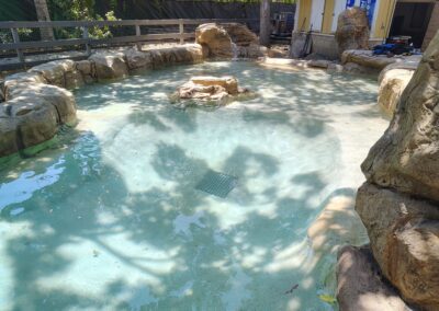 Shallow water pool with rocky edges and tree shadows in an outdoor setting.