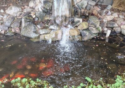 Project Quick Pond Leak Repair in Northridge image