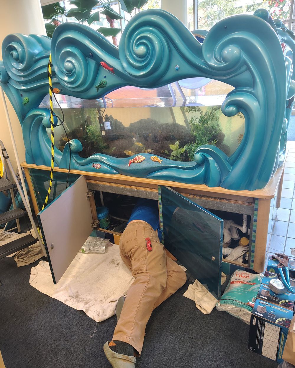 Expert Pump Repair for the Children's Hospital Aquarium in Hollywood