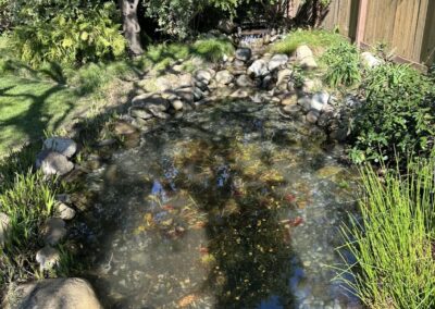 Gallery photos for Pond Restoration Magic in Your Backyard: Image #2