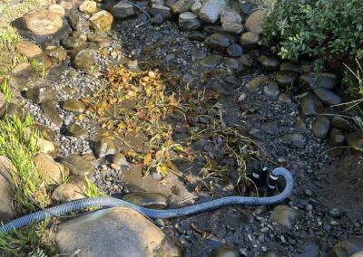 Gallery photos for Pond Restoration Magic in Your Backyard: Image #1
