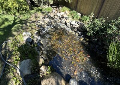 Pond Restoration Magic in Your Backyard