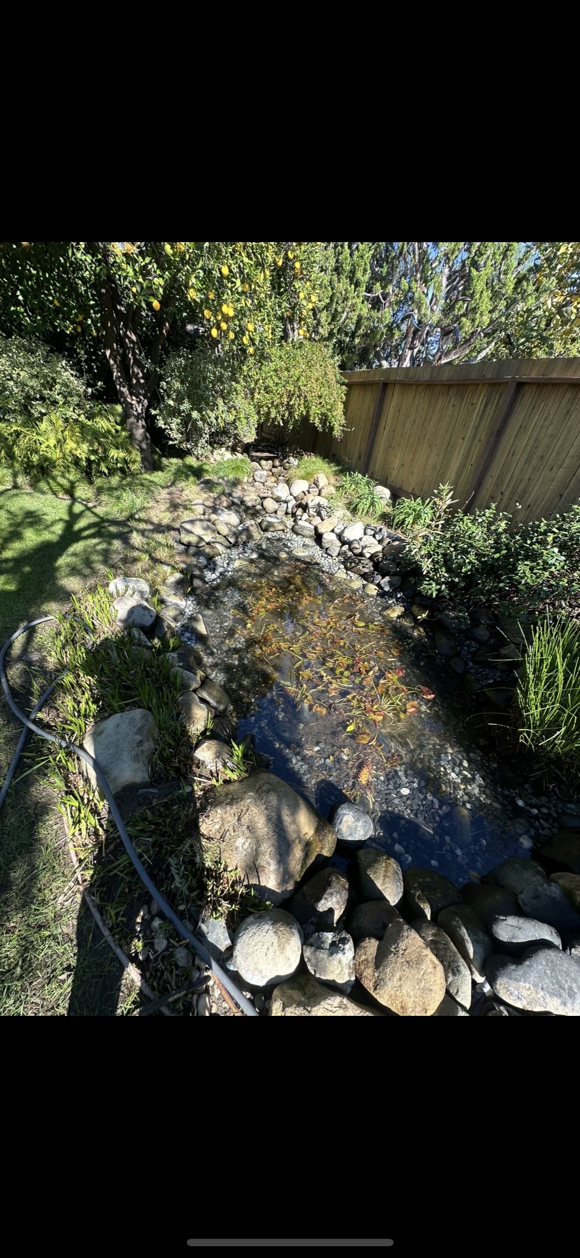 Pond Restoration Magic in Your Backyard Pond Restoration Magic in Your Backyard