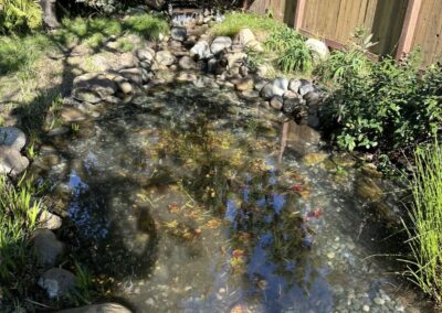 Gallery photos for Pond Restoration Magic in Your Backyard: Image #3