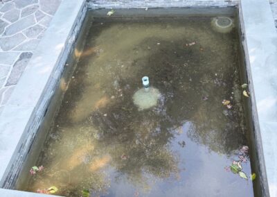 Pond Overhaul Brings New Life to Your Outdoor Space
