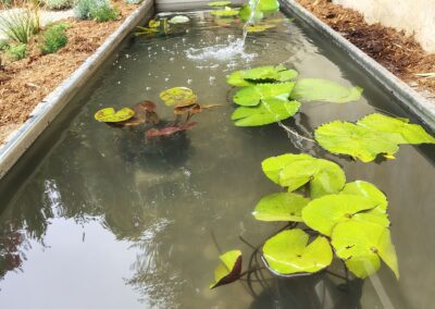Custom Fountain Basin Installation in Malibu
