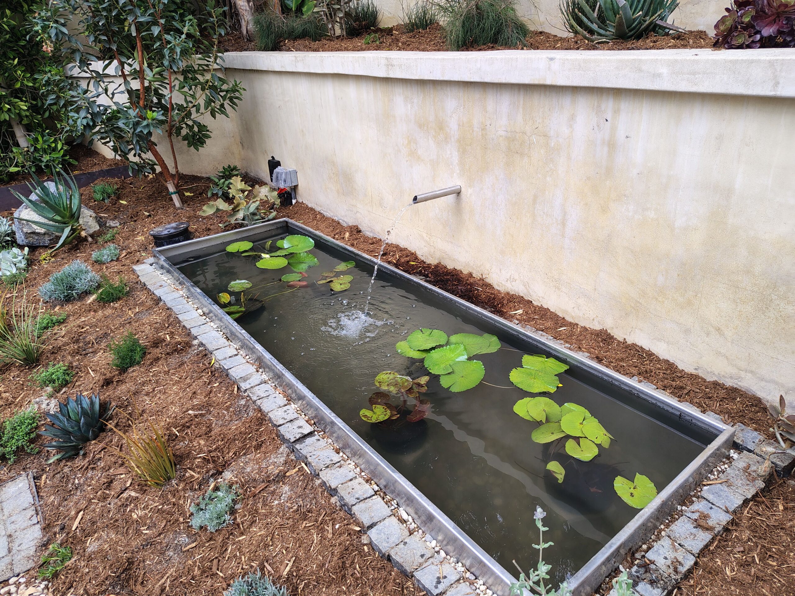 Sustainable and Eco-Friendly Practices, Pacific Pond and Aquarium