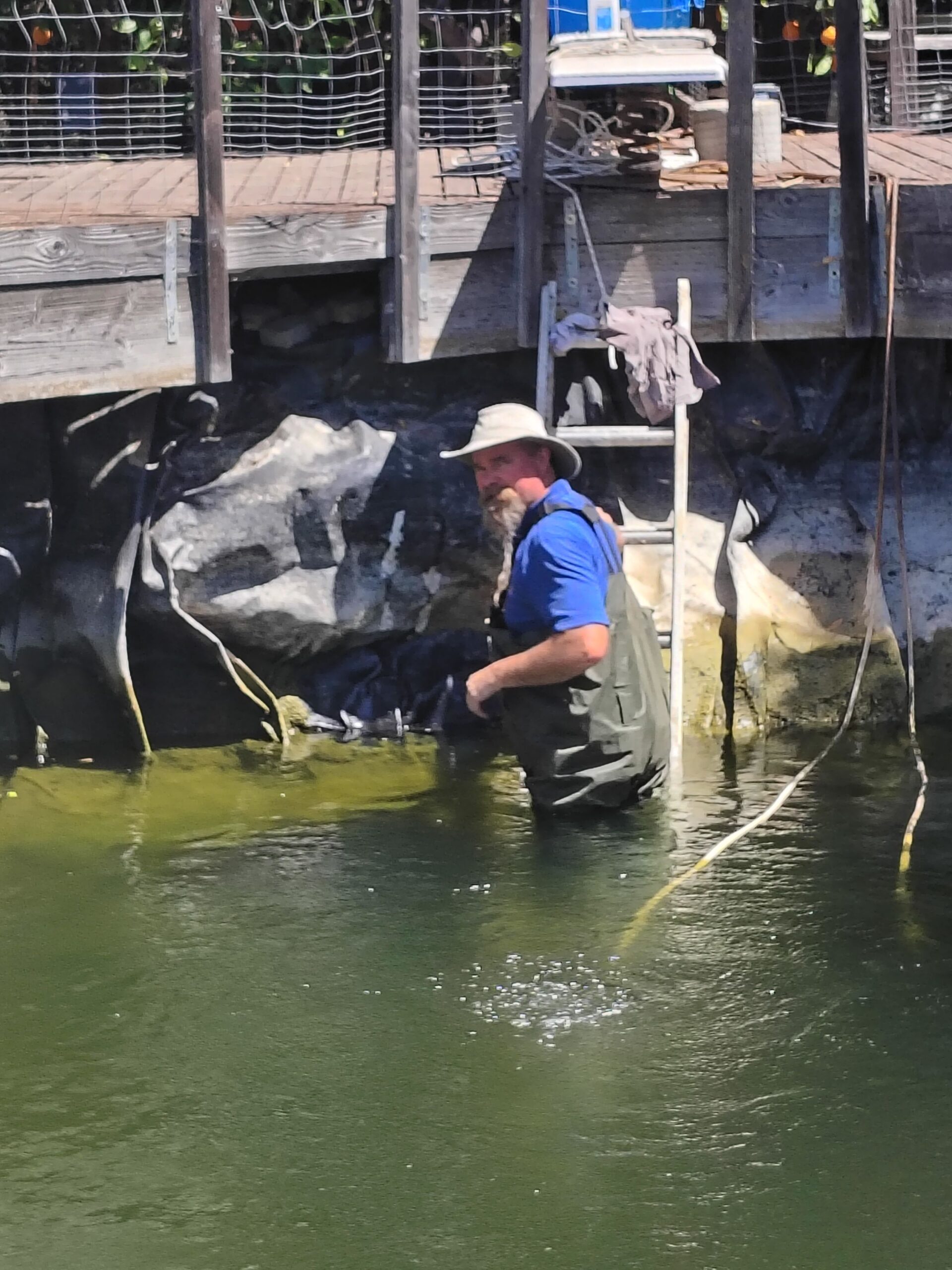 Pond Maintenance, Pacific Pond and Aquarium Pond Maintenance, Pacific Pond and Aquarium