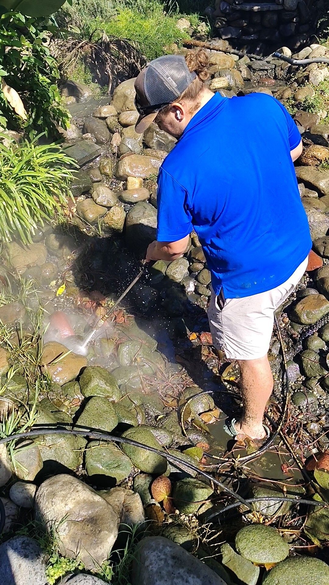 What Our Pond Clean Out Service Includes, Pacific Pond and Aquarium What Our Pond Clean Out Service Includes, Pacific Pond and Aquarium
