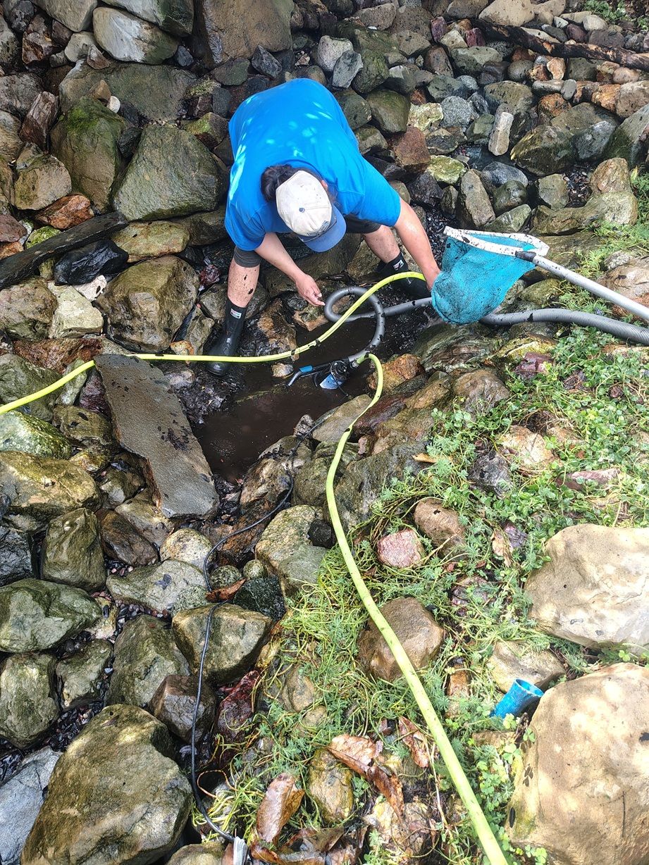 Pond Clean Outs, Pacific Pond and Aquarium Pond Clean Outs, Pacific Pond and Aquarium
