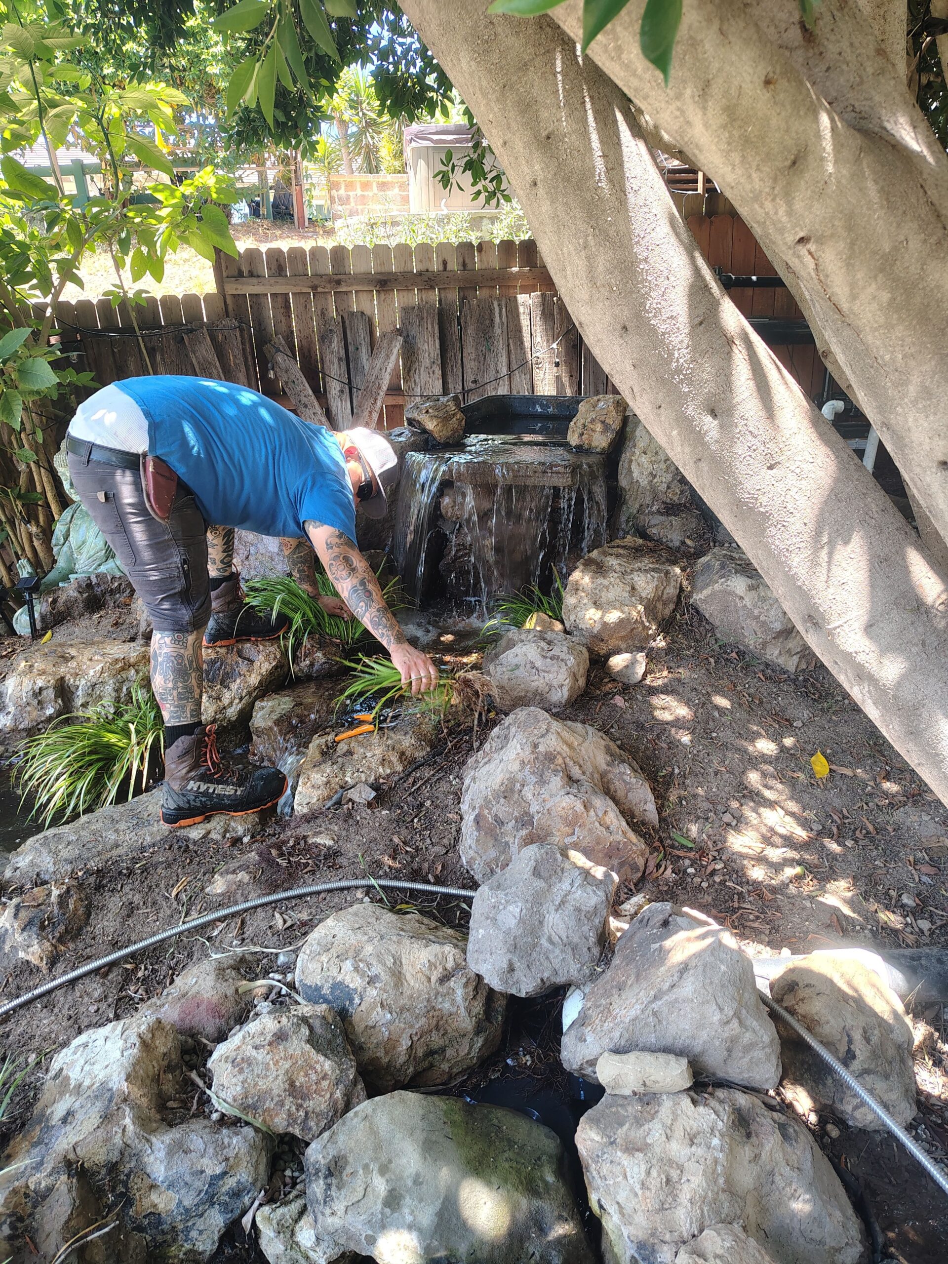 Pond Repair, Pacific Pond and Aquarium