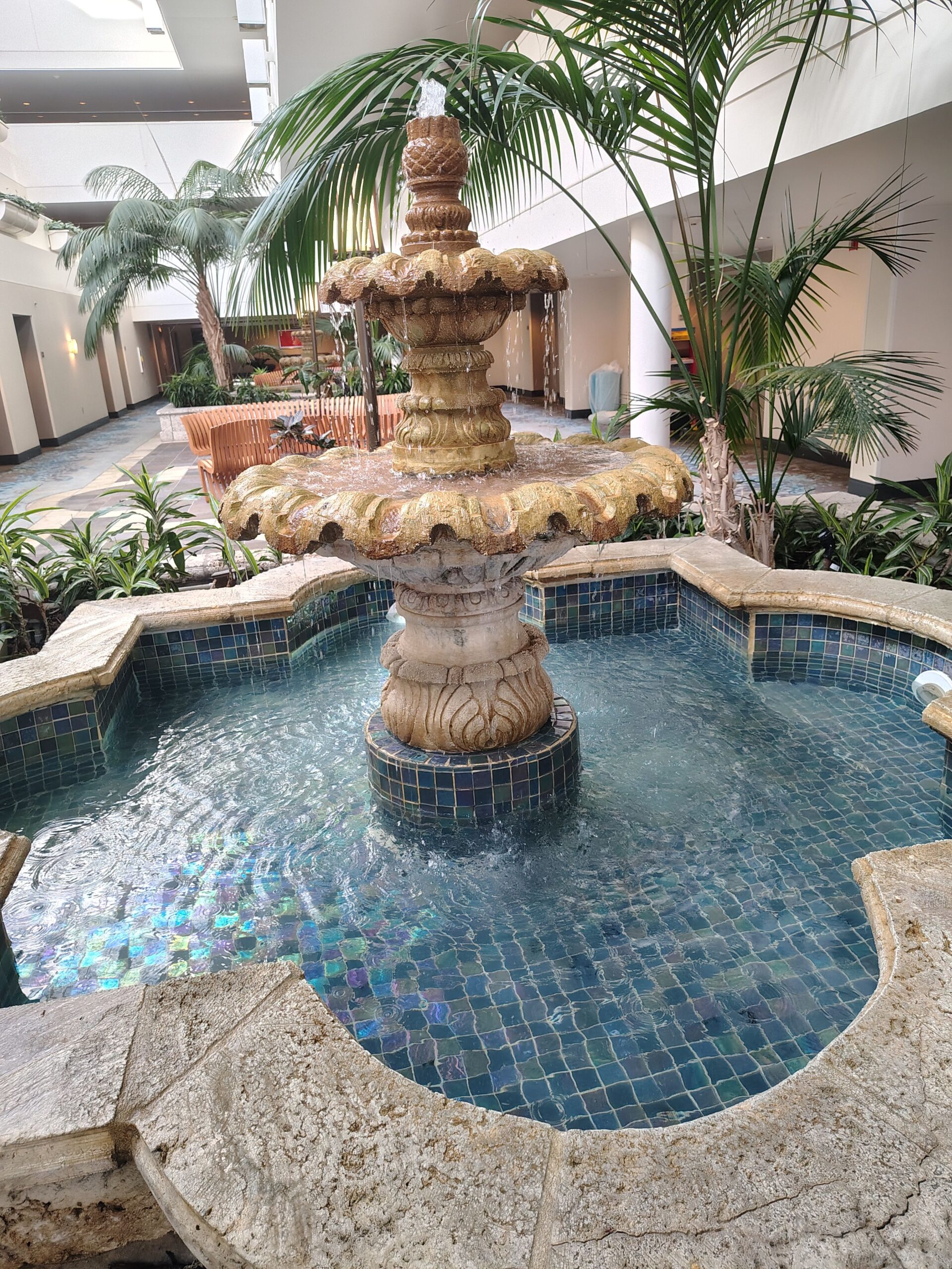 Indoor Oasis at the Orlando Airport Indoor Oasis at the Orlando Airport