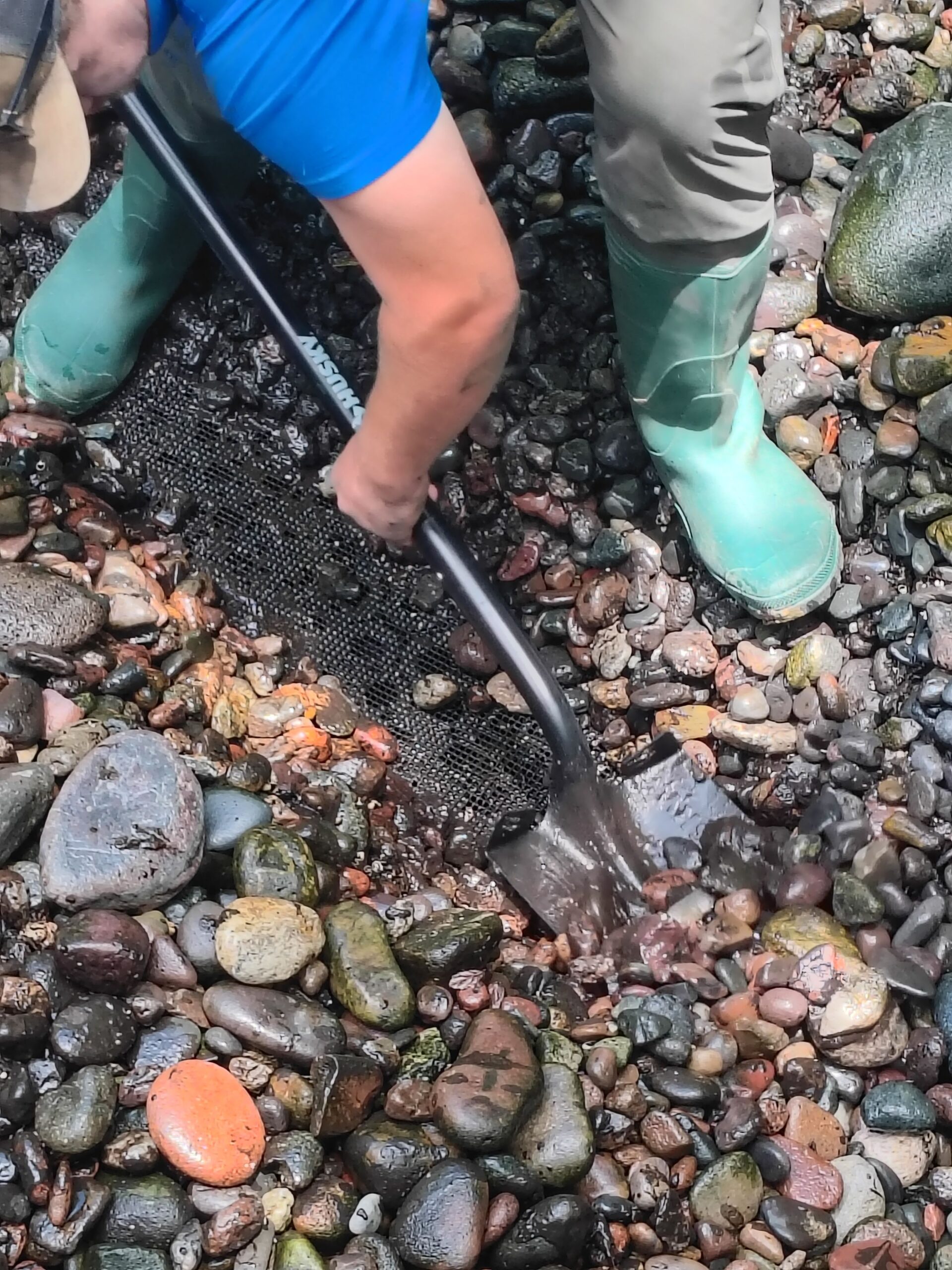 When to schedule pond repair, Pacific Pond and Aquarium