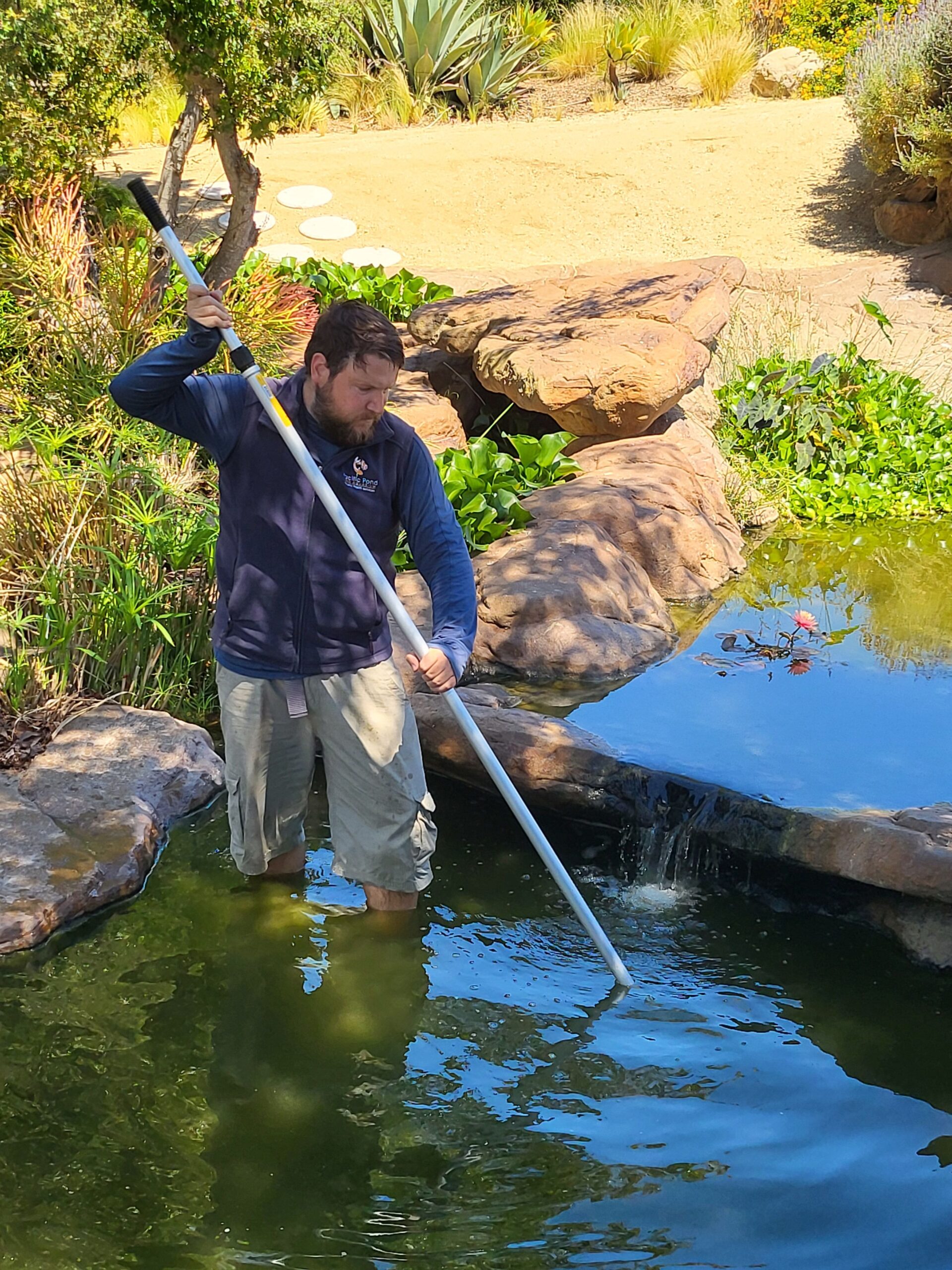 Common Pond Problems We Help Solve, Pacific Pond and Aquarium Common Pond Problems We Help Solve, Pacific Pond and Aquarium