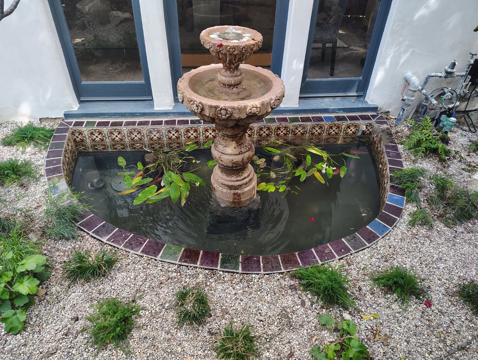 Fountain to Water Garden Transformation Fountain to Water Garden Transformation