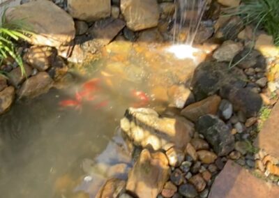 Project Pond Restoration with Waterfall Installation image